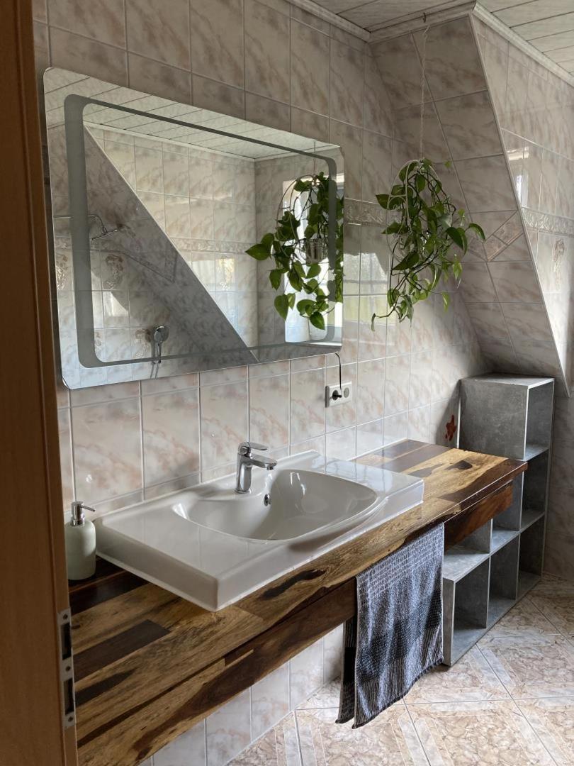 Neu Ferienwohnung Hofmann 胡苏姆 外观 照片